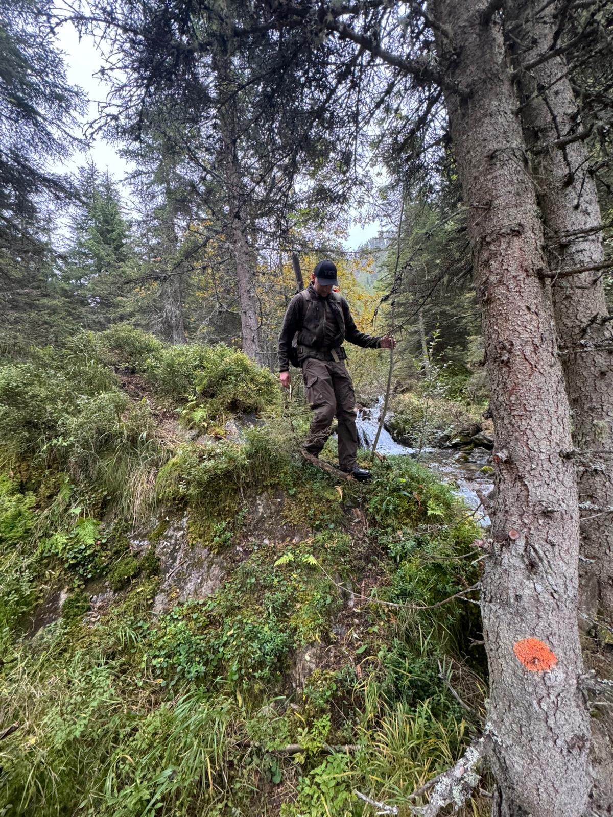 Bergjagd-Seminar im alpinen Revier – Bild 7
