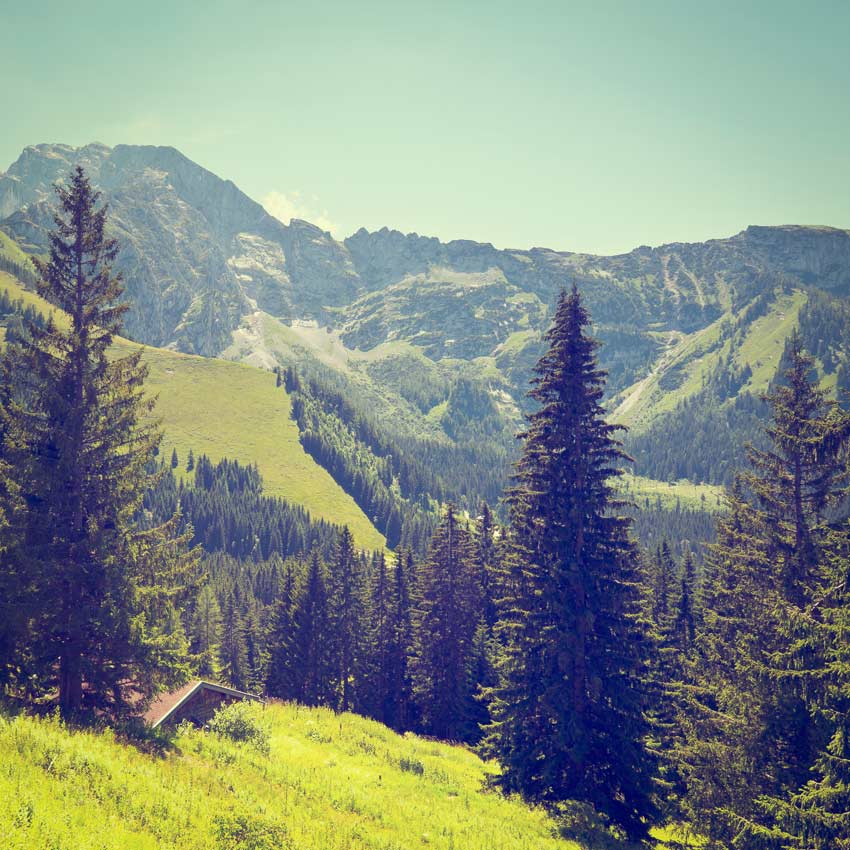 Bergjagd-Seminar im alpinen Revier – Bild 2